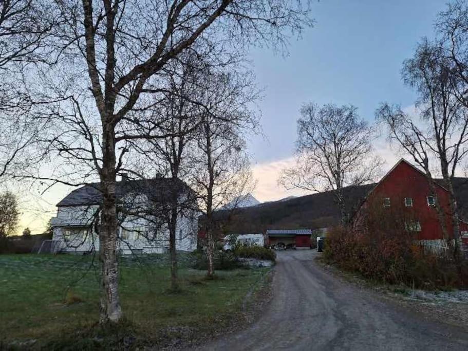 Farmroom With Sauna And Aurora Narvik Exterior foto